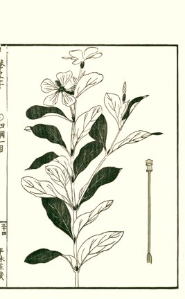 photo33.jpg
