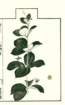 photo55_small.jpg