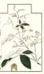 photo57_small.jpg