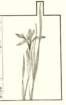 photo7_small.jpg