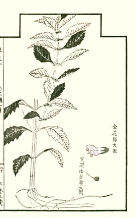 photo19.jpg