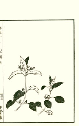 photo22.jpg
