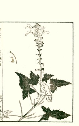 photo27.jpg