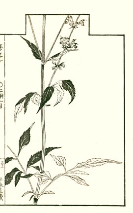 photo30.jpg