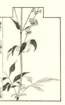 photo30_small.jpg