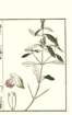 photo31_small.jpg
