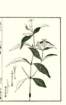photo32_small.jpg