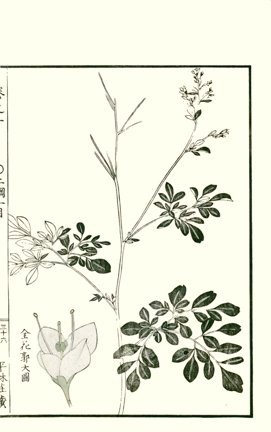 photo35.jpg