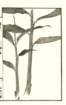 photo7_small.jpg