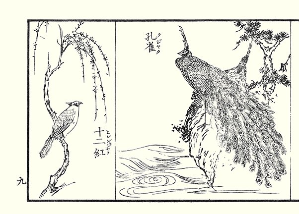 photo18.jpg