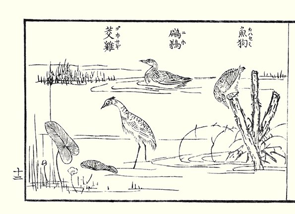 photo24.jpg