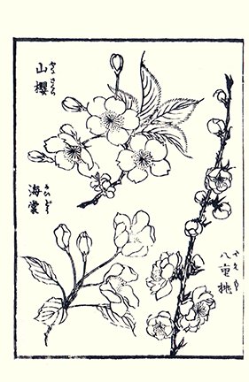 photo12.jpg