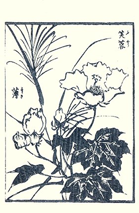 photo23.jpg