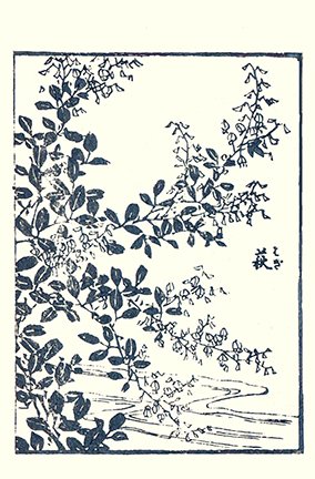 photo27.jpg