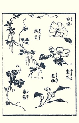 photo29.jpg
