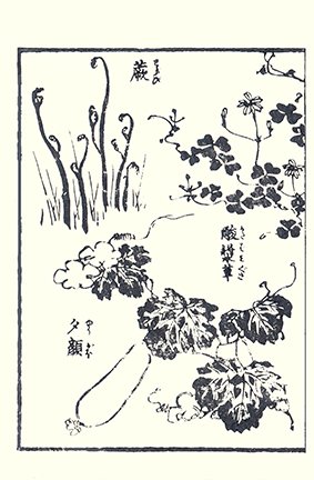 photo30.jpg