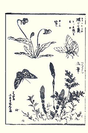 photo8.jpg