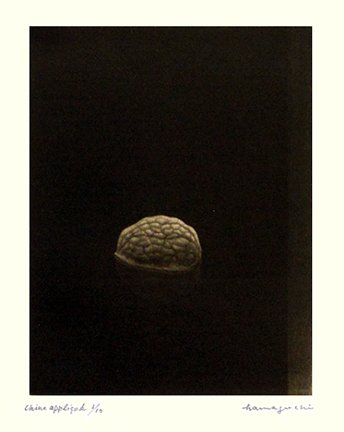photo23.jpg