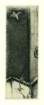 photo12_small.jpg