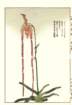 photo12_small.jpg