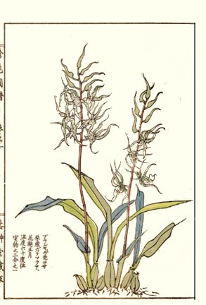 photo13.jpg