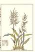 photo13_small.jpg