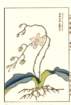 photo14_small.jpg