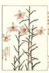 photo16_small.jpg