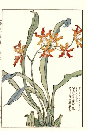 photo17.jpg