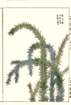 photo18_small.jpg