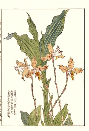 photo21.jpg