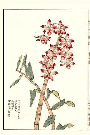 photo22.jpg