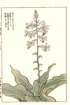 photo23_small.jpg