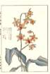 photo25_small.jpg