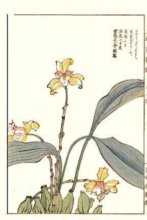 photo26.jpg
