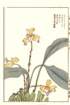 photo26_small.jpg