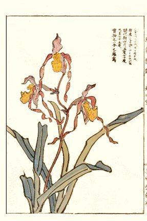 photo30.jpg