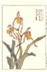 photo30_small.jpg