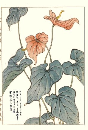 photo31.jpg