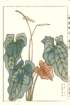 photo32_small.jpg