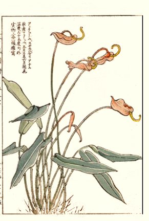 photo33.jpg