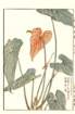 photo34_small.jpg
