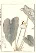 photo39_small.jpg