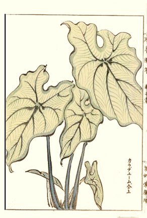 photo44.jpg
