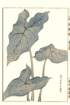photo46_small.jpg