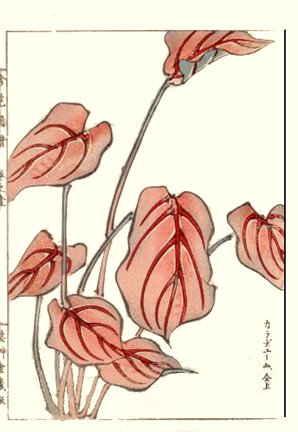 photo47.jpg