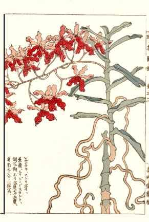 photo56.jpg