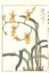 photo58_small.jpg