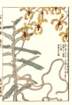 photo61_small.jpg