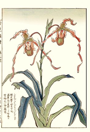 photo7.jpg